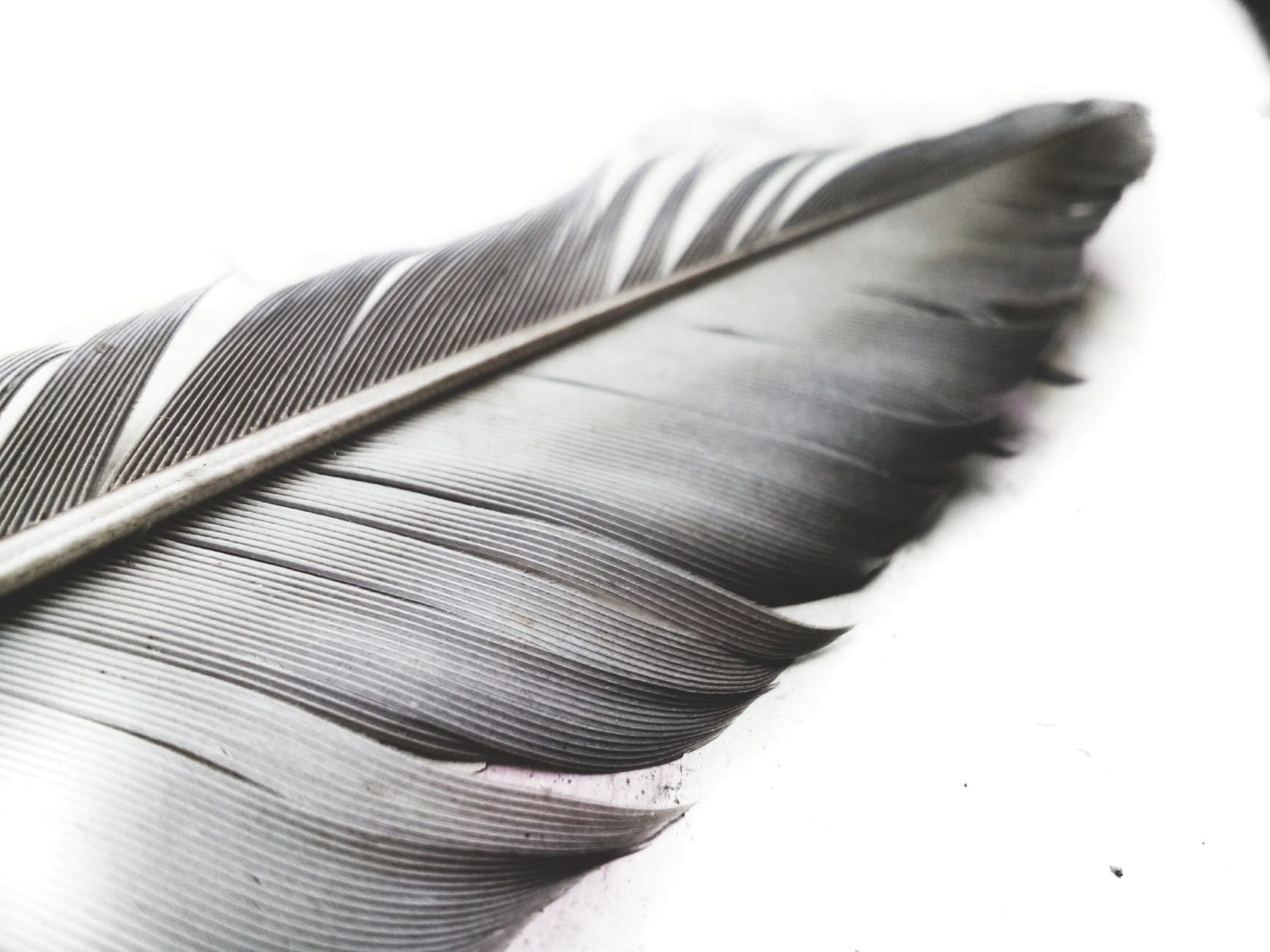 Setting Your Intention