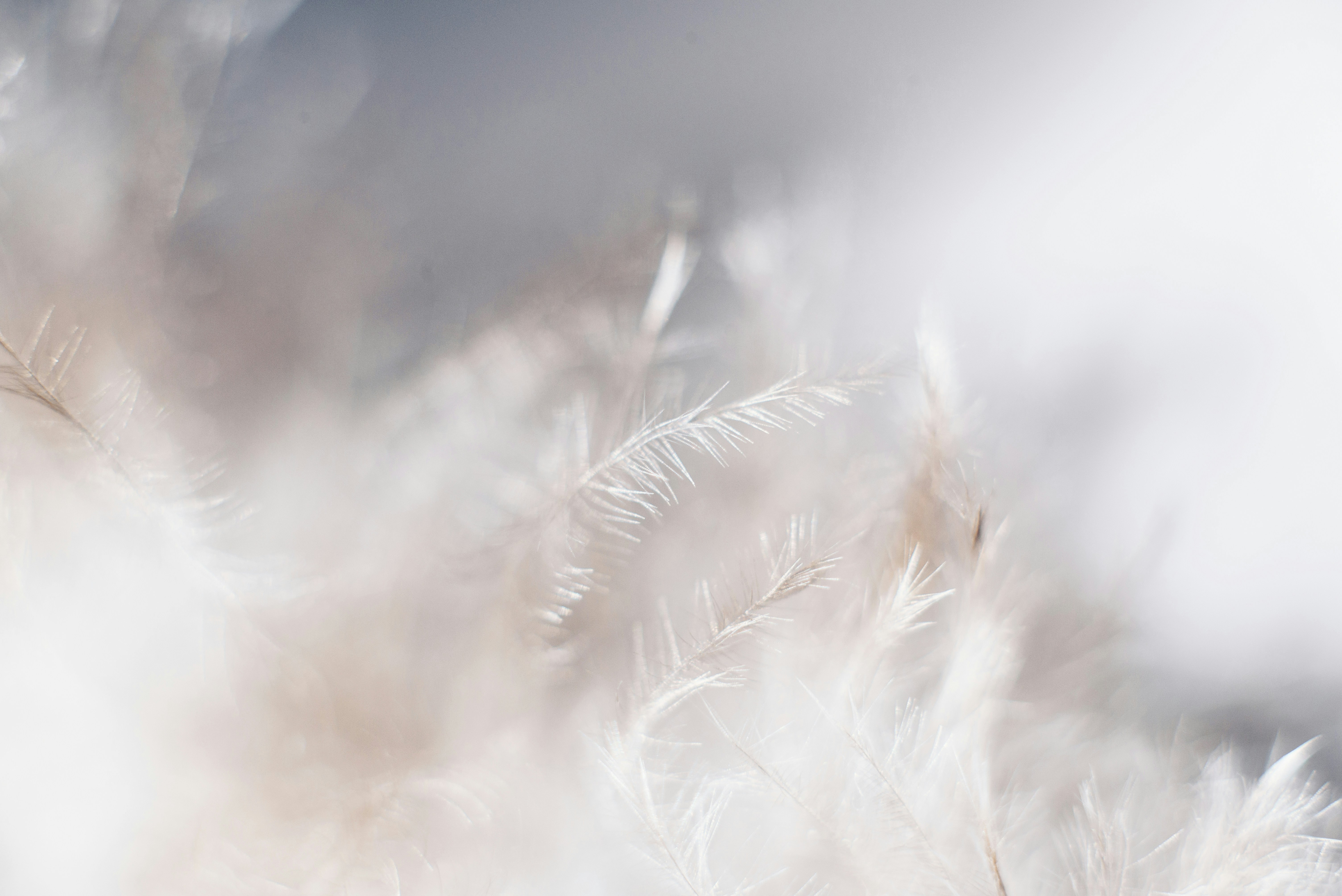 Spiritual Awakenings